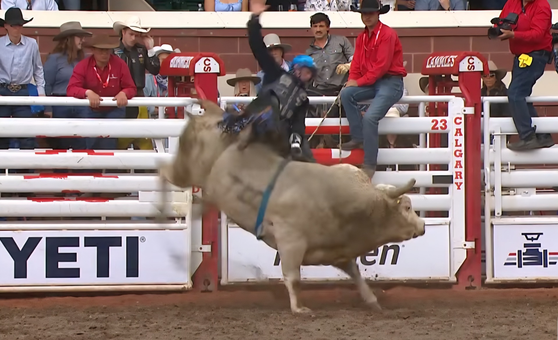 bull riding, Stampede