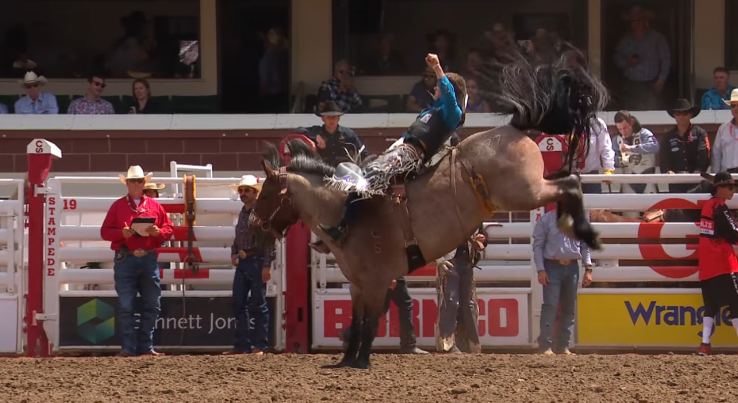 bareback, Stampede