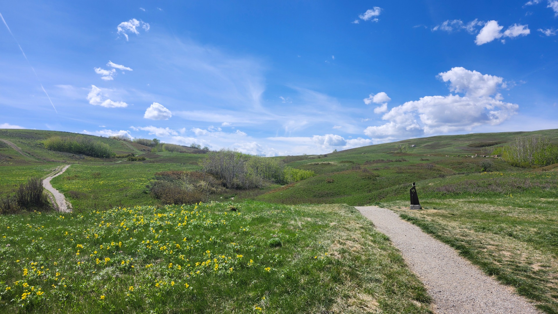 Nose Hill Park ösvényei