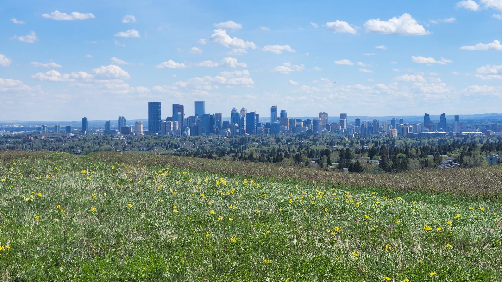 Calgary skyline a Nose Hill Parkból
